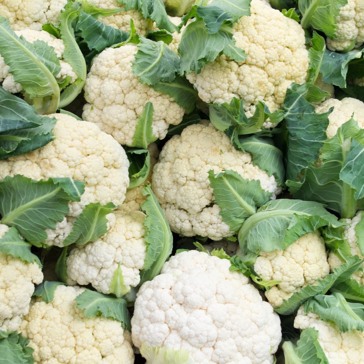 Fresh Cauliflower